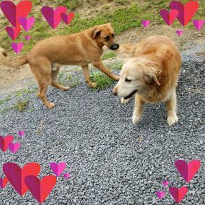 Meet your Posher, Carol